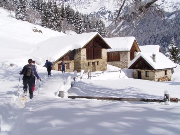 Schneeschuhwanderung, Skitouren und Langlauf: