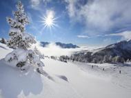 Snowshoeing, Alpine Skiing and Cross-Country Skiing
