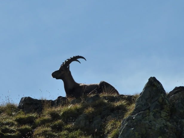 Parco Nazionale dello Stelvio