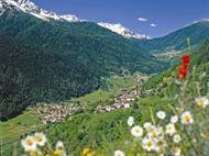 Stelvio National Park