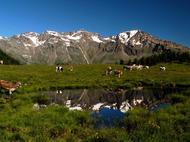 Stelvio National Park