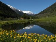 Stelvio National Park