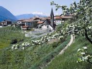 Terme di Pejo e di Rabbi